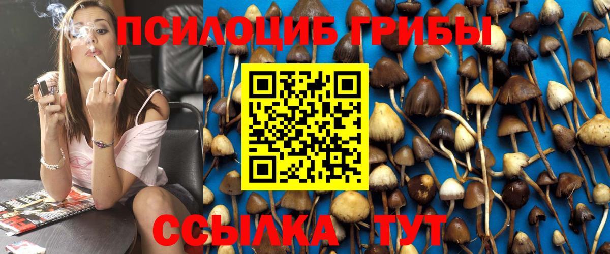 Псилоцибиновые грибы мицелий Троицк
