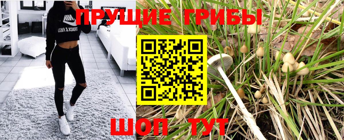 Псилоцибиновые грибы Magic Shrooms  Вход с VPN  Троицк  Псилоцибиновые грибы MAGIC MUSHROOMS 